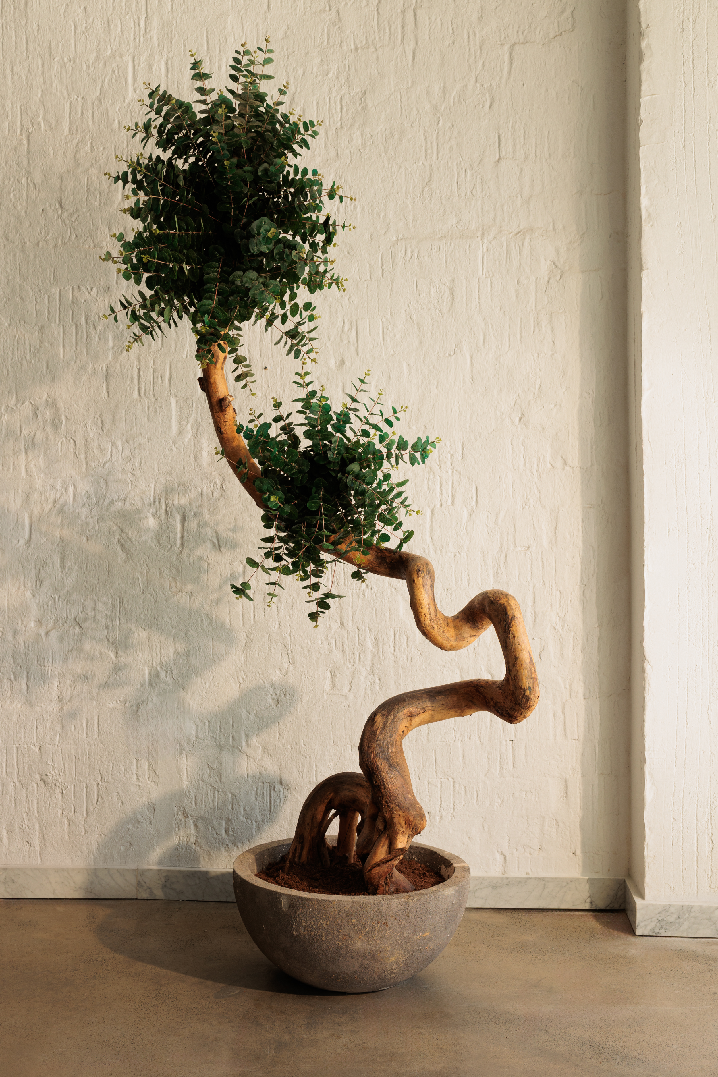 “RACINE” Artificial Tree